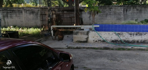 Imagen 14 de 24 de Se Vende Finca En Guayabita Turmero Estado Aragua/yessika Berrios 04249155109