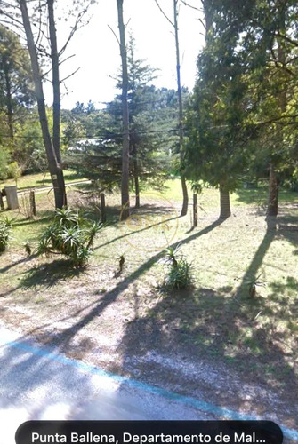 Casa En Venta En Punta Ballena 2 Dormitorios Con Piscina