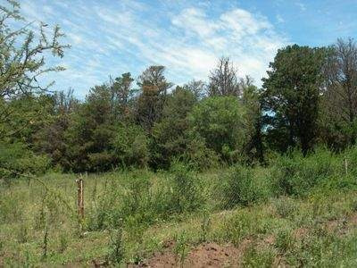 Imagen 2 de 7 de Venta 2 Ultimos Lotes-potrero De Garay- Escritura-1.000 M2.c/u.