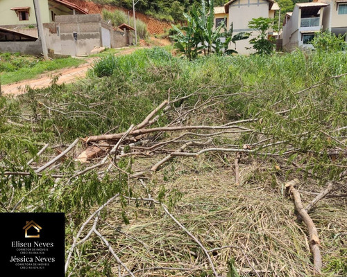 Imagem 7 de 14 de Vendo Terreno No Bairro Goiabal Em Paty Do Alferes - Rj - Te00100 - 70456977