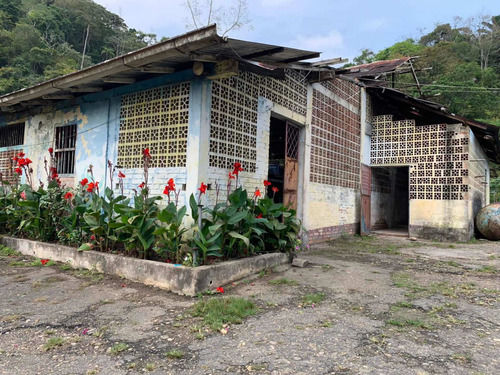 Imagen 25 de 30 de Finca Ganadera En Venta Táchira