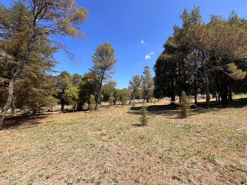 Lotes En Venta Villa General Belgrano El Bosquecillo Cód 2144