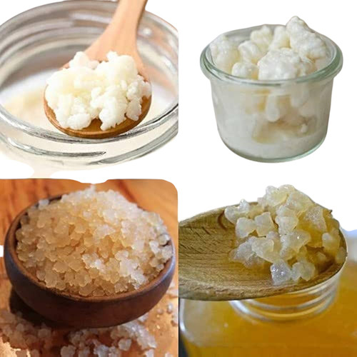 Paquete De Búlgaros Leche, Agua, Kéfir Y Masa Madre