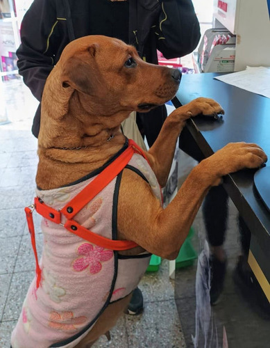 Meli, Belleza Total, Solo 2 Añitos, Leer Y Responder ....!!