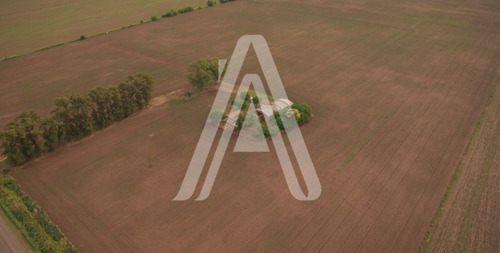 Imagen 2 de 12 de 21 Has Agricolas Alvear