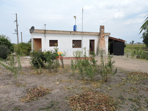 Imagen 5 de 21 de Chacra En Canelón Grande, 5 Has Con Casa, Cañada.