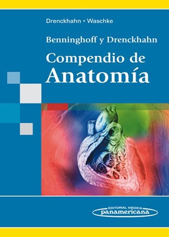 Benninghoff:compendio De Anatomæa (libro Original)