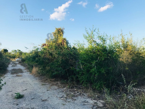 Imagen 5 de 9 de Terreno En Esquina En Venta En Komchen, Yucatán. Ctv124.