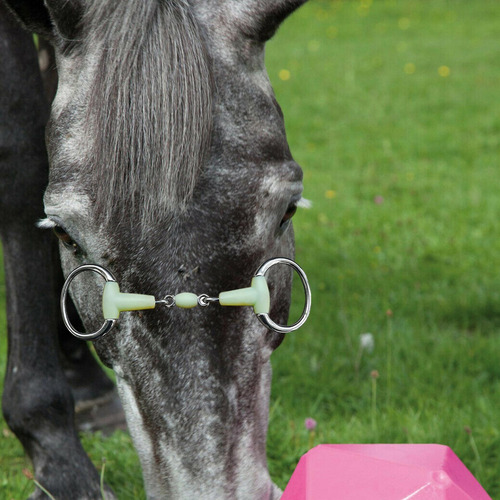 Durable Horse Snaffle Bit Horse Training Tool Accesorios