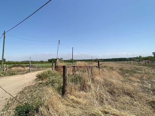 Venta | Terreno | Vista Flores | Tunuyán | Valle De Uco | 2.178 M2