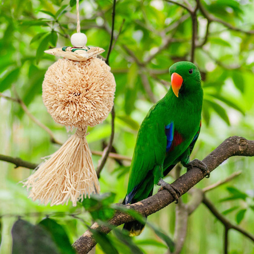 - Juguete De Masticación De Forrajamiento De Pájaros Juguete