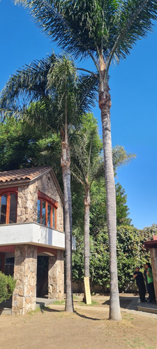 Construcción De Jardines Mantenimiento I Riegos Automáticos