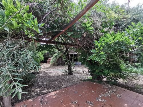 Parcela Con Cabaña En Pirque El Principal