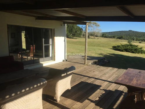 Venta De 384 Hc Próximo A Sierra De Carapé