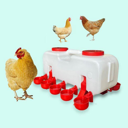 Vaso Para Beber Pollo, Bebedero Para Aves De Automático S