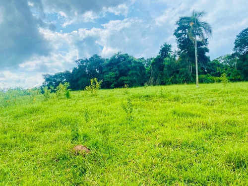 Imagem 6 de 6 de Tá Procurando Terreno? Achou!