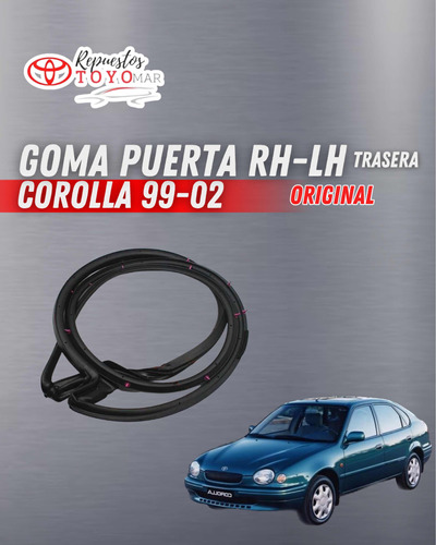 Goma Puerta Trasera Lh-rh Toyota Corolla 99-02 Original