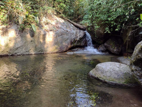 Imagem 11 de 14 de Sitio Medindo 12 Alqueires Com Cachoeira Particular