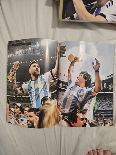 Lote Libro Y Revistas Selección Argentina Campeon Del Mundo (Usado)