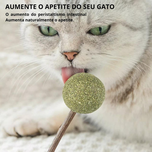 Pirulito Brinquedo Gato Catnip Matatabi Erva Varinha Gatos Cor Verde