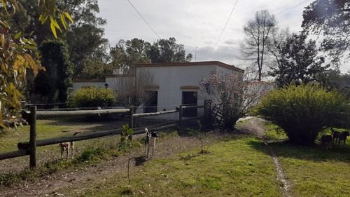 Campo C/ Caballerizas Y Casa Colonial - Villa Elisa