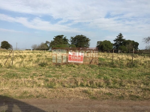 Imagen 3 de 10 de Venta Terrenos En Los Pinos !!