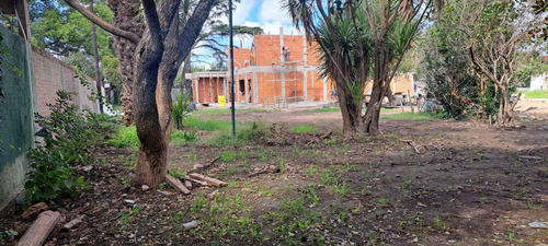 Emprendimiento 9 Lotes. Villa Udaondo.