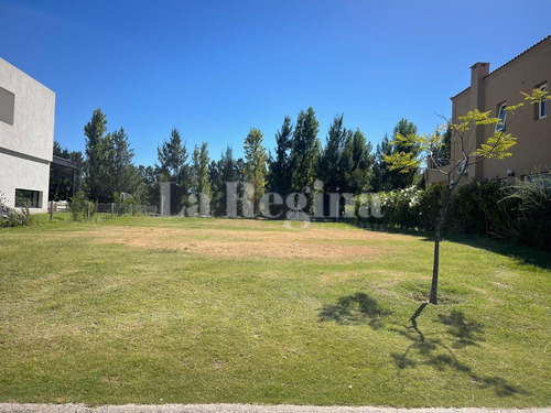 Terreno Lote  En Venta En Castaños, Nordelta, Tigre