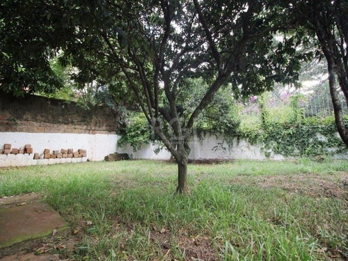 Imagem 3 de 15 de Casa - Tres Figueiras - Ref: 527166 - V-ca4281