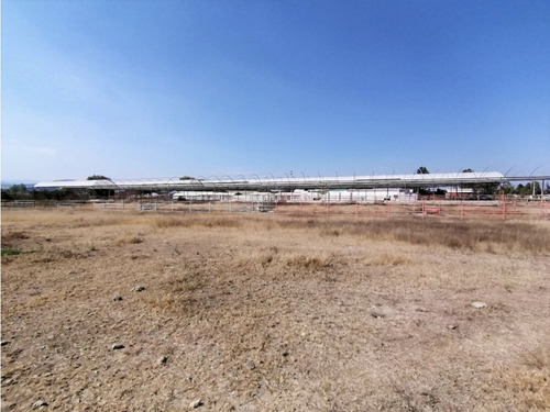 Rancho En Acatlán, Hidalgo (producción Ganadera Y De Queso).