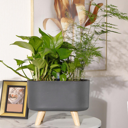 Florero De Calidad Para Plantas Pequeñas Y Negro Con Pierna