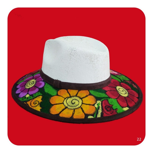 Imagen 9 de 10 de Elegante Sombrero Artesanal De Gamuza Bordado Mediano 3