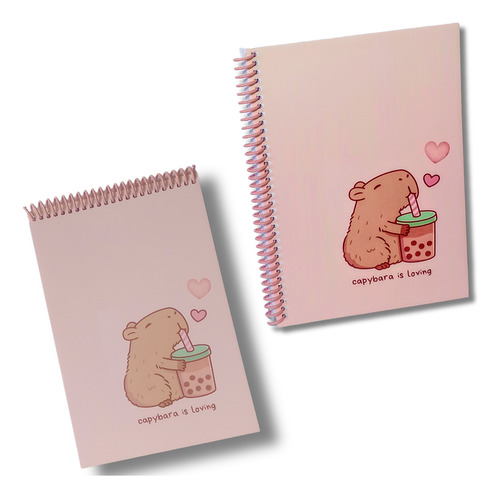 Libreta Lisa + Cuaderno Rayado A5 / Anotador / Cuadernillo Capybara Rosa