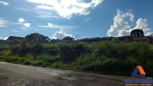 Imagem 4 de 5 de Terrenos - Ref: L357
