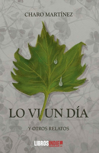 Lo Vi Un Dia, De Martinez, Charo. Editorial Libros Indie, Tapa Blanda En Español
