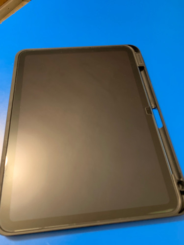 Ipad 11 Wi-fi 128gb Azul Con Funda Y Micas Azul Acero (Usado)