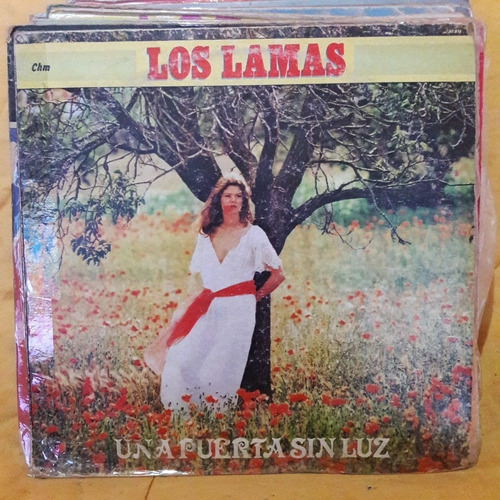 Vinilo Los Lamas Una Puerta Sin Luz Z C4