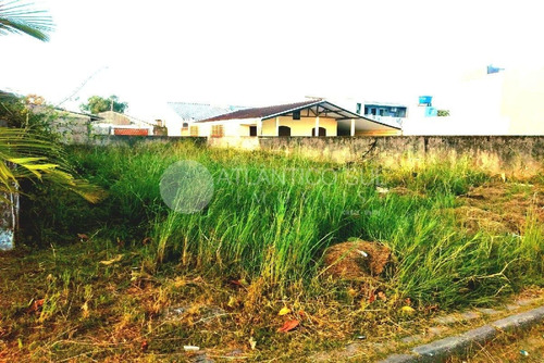 Imagem 3 de 7 de Terreno Aterrado A 600m Da Praia, Primavera, Pontal Do Parana - Pr. Ref.:1356t - 1360