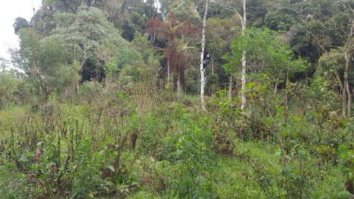 Chácara A Venda No Bairro Miringuava Em São José Dos - 5663-1