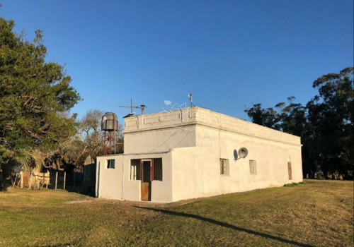 Imagen 21 de 29 de Campo En Jose Ignacio - Jose Ignacio