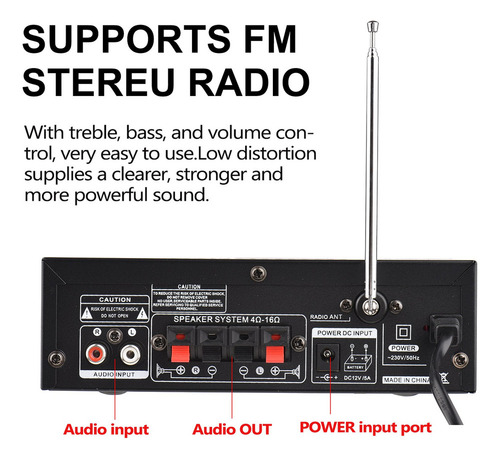 1 Amplificador De Potencia D/audio D/12v/110v 300w+300w