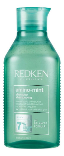  Shampoo Para Cabello Graso Redken Amino Mint