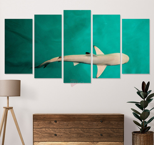 Políptico Tiburones Mar Ctb1 Canvas Grueso 125x60