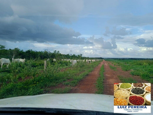 Imagem 2 de 15 de Fazenda À Venda Em Peixe - To - De 213 Alqueirões (agricultura) - 1700