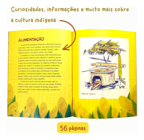 Livro Coisas De Índio