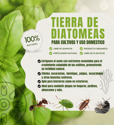 Tierra De Diatomea Para Cultivos E Insecticida Por Kg