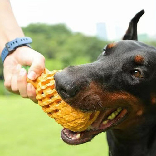 Dispensador Chew Toy Dog Toy Dentitud Toy L