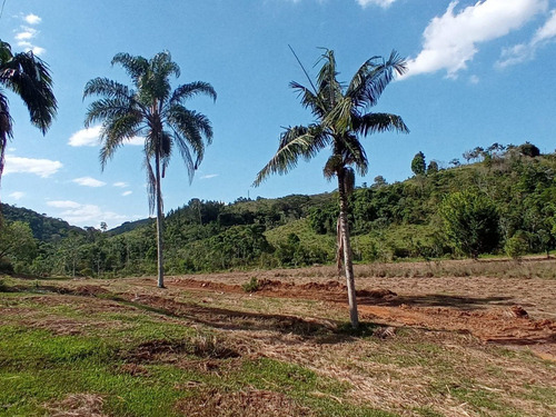 Imagem 7 de 23 de 03t- Venha Investir No Seu Sonho! Terreno Acessivel