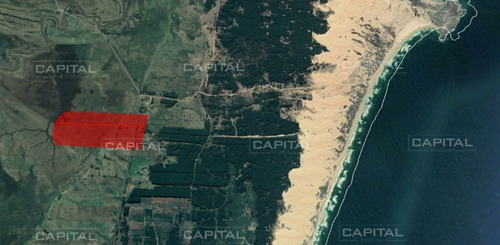 Imagen 2 de 3 de Campo En Venta De 60 Has En Rocha - Cabo Polonio