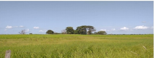 Imagen 24 de 30 de Finca Y Centro Turístico Linda Barinas En Venta